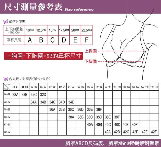 胸罩ABCD尺码表、胸罩abcd尺码表对照表