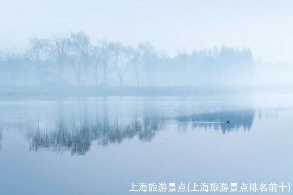 上海旅游景点(上海旅游景点排名前十)