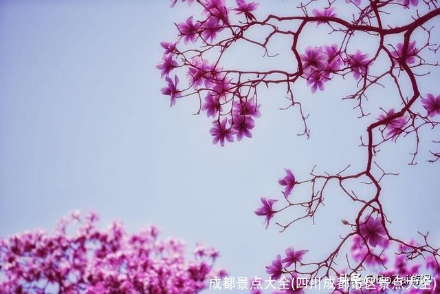 成都景点大全(四川成都市区景点大全)