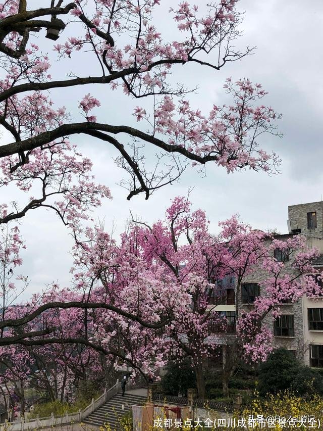 成都景点大全(四川成都市区景点大全)