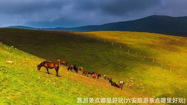 旅游景点哪里好玩(六安旅游景点哪里好玩)