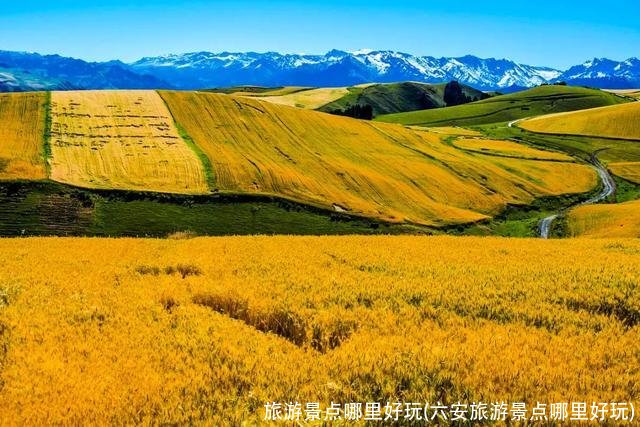 旅游景点哪里好玩(六安旅游景点哪里好玩)