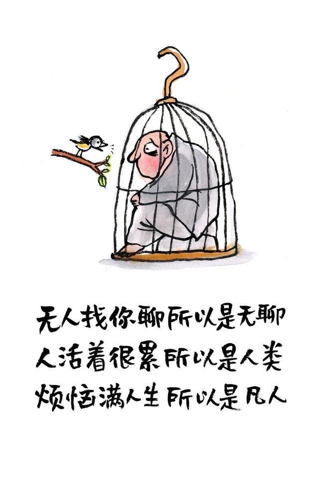 宝号是什么意思(表文宝号是什么意思)