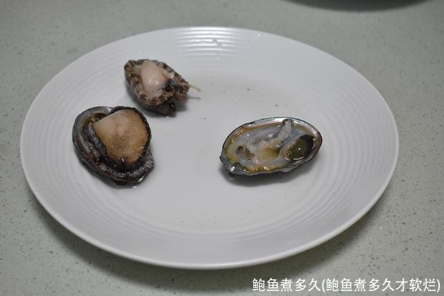 鲍鱼煮多久(鲍鱼煮多久才软烂)