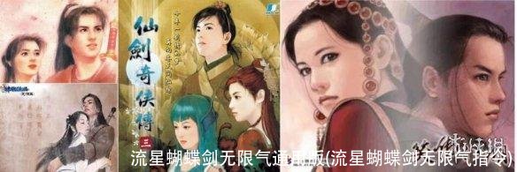 流星蝴蝶剑无限气通用版(流星蝴蝶剑无限气指令)