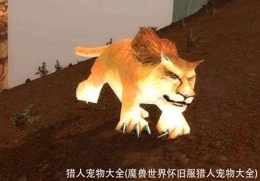 猎人宠物大全(魔兽世界怀旧服猎人宠物大全)