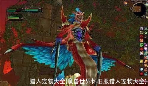 猎人宠物大全(魔兽世界怀旧服猎人宠物大全)