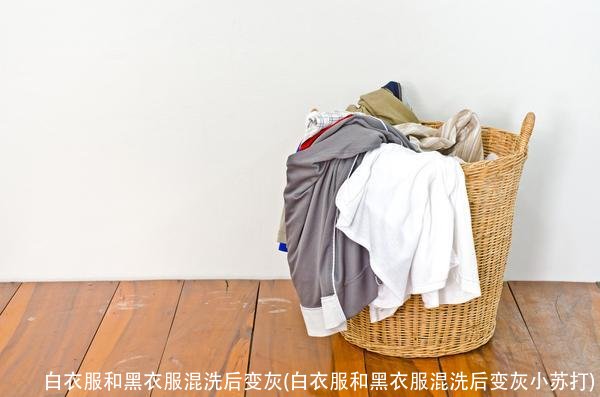 白衣服和黑衣服混洗后变灰(白衣服和黑衣服混洗后变灰小苏打)