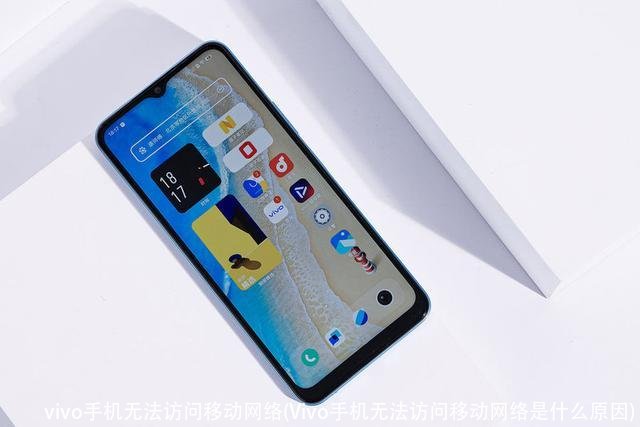 vivo手机无法访问移动网络(Vivo手机无法访问移动网络是什么原因)