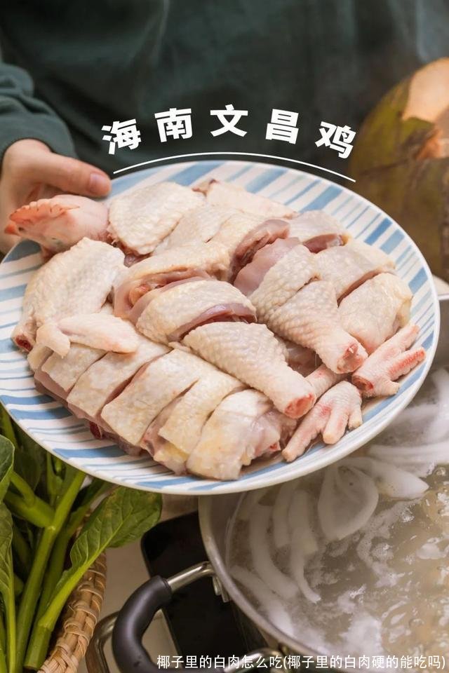 椰子里的白肉怎么吃(椰子里的白肉硬的能吃吗)