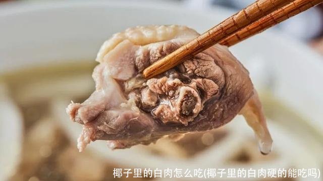 椰子里的白肉怎么吃(椰子里的白肉硬的能吃吗)