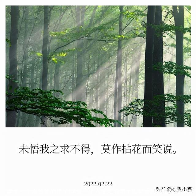 享受一个人独处的句子(享受一个人独处的句子短享受片刻惬意的生活)