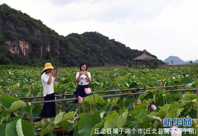 丘北县属于哪个市(丘北县属于哪个镇)