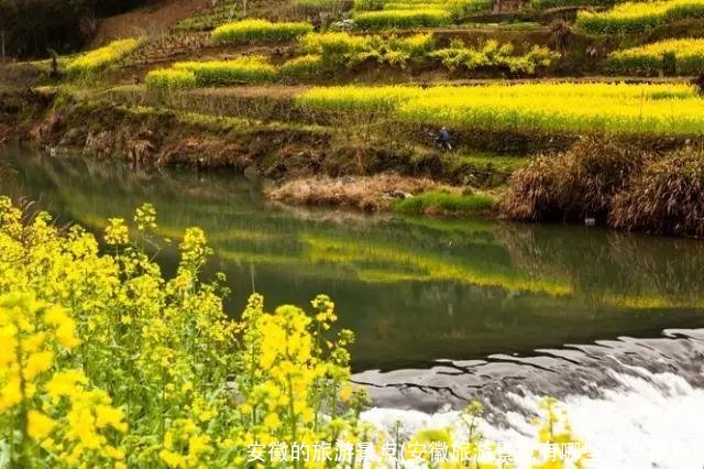 安徽的旅游景点(安徽旅游景点有哪些景点推荐)