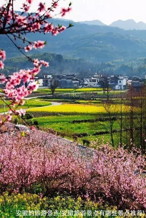 安徽的旅游景点(安徽旅游景点有哪些景点推荐)