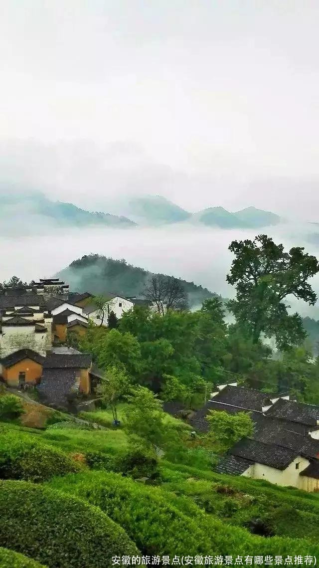 安徽的旅游景点(安徽旅游景点有哪些景点推荐)