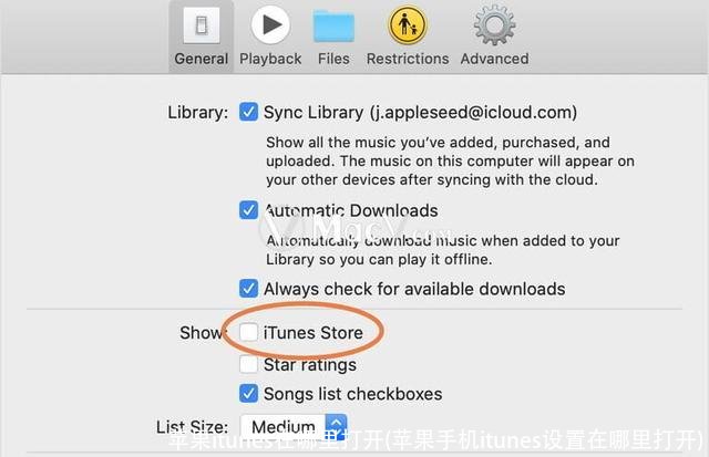 苹果itunes在哪里打开(苹果手机itunes设置在哪里打开)
