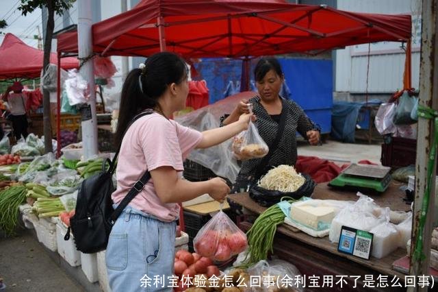 余利宝体验金怎么回事(余利宝用不了是怎么回事)