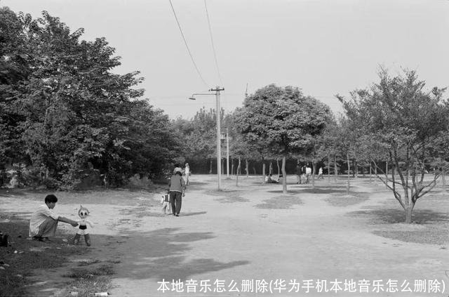 本地音乐怎么删除(华为手机本地音乐怎么删除)