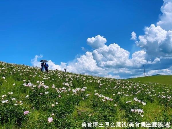 美食博主怎么赚钱(美食博主赚钱吗)