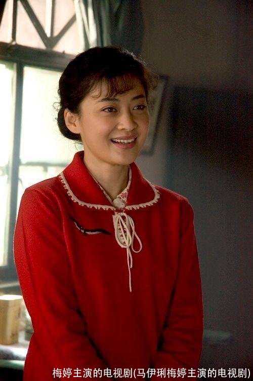 梅婷主演的电视剧(马伊琍梅婷主演的电视剧)