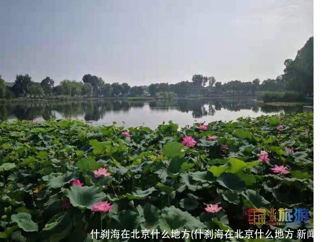 什刹海在北京什么地方(什刹海在北京什么地方 新闻)