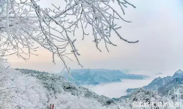 旅游城市(旅游城市)