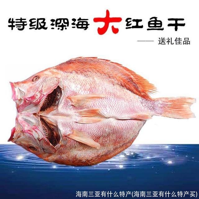 海南三亚有什么特产(海南三亚有什么特产买)