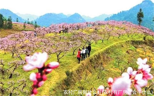 农村厂房做什么好(农村有厂房适合干什么)