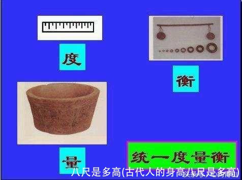 八尺是多高(古代人的身高八尺是多高)