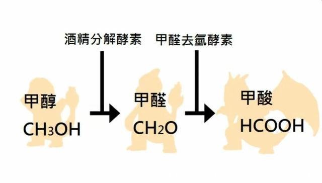 酒精的化学名称(食用酒精的化学名称)