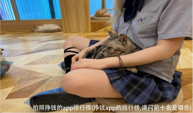 拍照挣钱的app排行榜(挣钱app的排行榜,请问前十名是哪些)