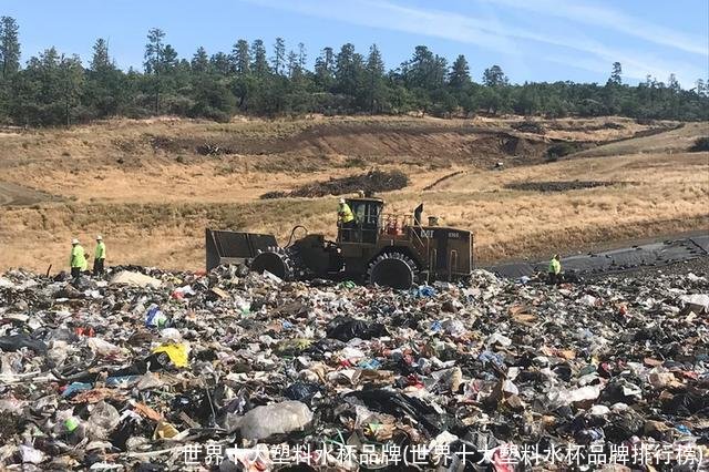 世界十大塑料水杯品牌(世界十大塑料水杯品牌排行榜)