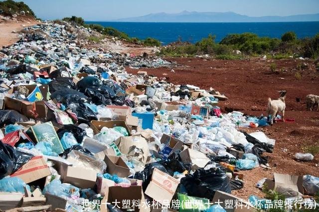 世界十大塑料水杯品牌(世界十大塑料水杯品牌排行榜)