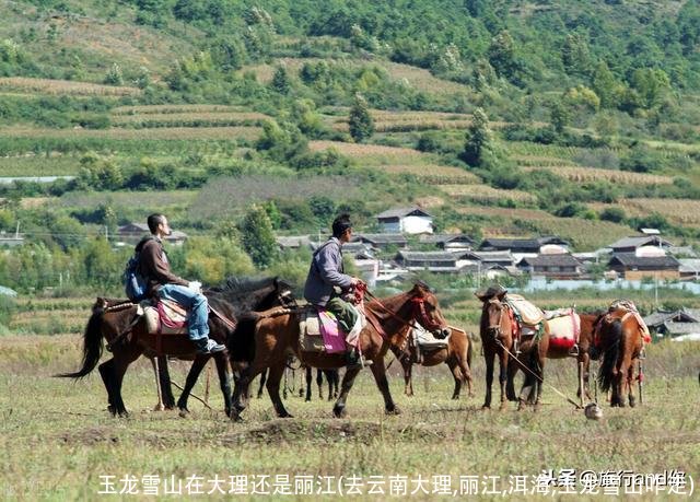 玉龙雪山在大理还是丽江(去云南大理,丽江,洱海,玉龙雪山咋走)