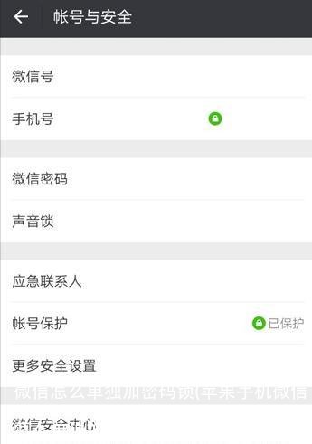 微信怎么单独加密码锁(苹果手机微信怎么单独加密码锁)