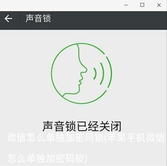微信怎么单独加密码锁(苹果手机微信怎么单独加密码锁)