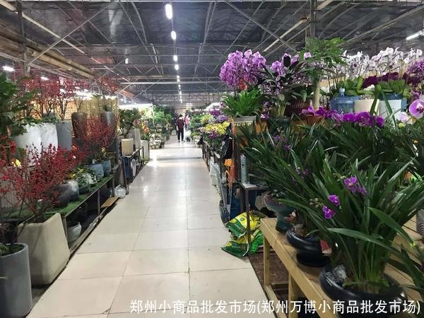 郑州小商品批发市场(郑州万博小商品批发市场)