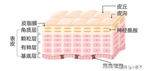 脸部护肤品使用顺序(脸部保湿用什么护肤品)