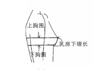 内衣75a和75b谁大(34的内衣是75A还是75B)