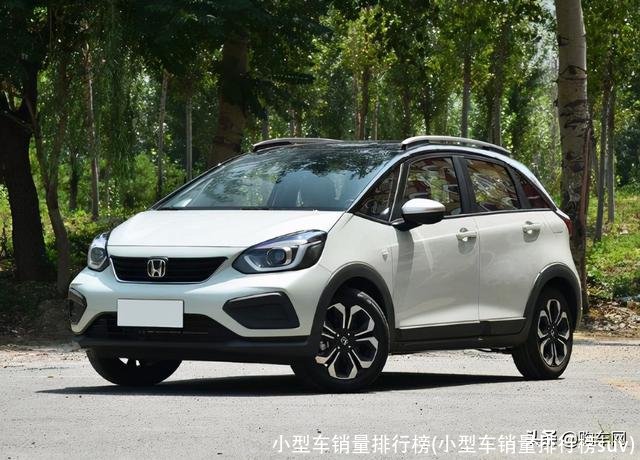 小型车销量排行榜(小型车销量排行榜suv)