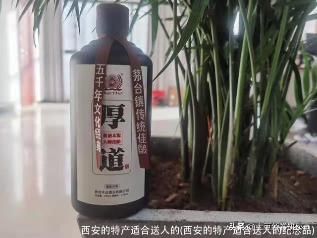 西安的特产适合送人的(西安的特产适合送人的纪念品)