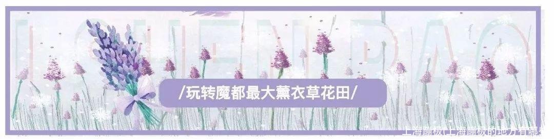 上海蹦极(上海蹦极的地方有哪些)