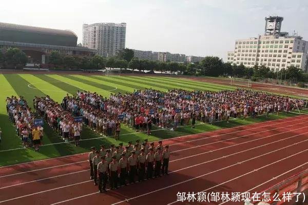 邹林颖(邹林颖现在怎么样了)