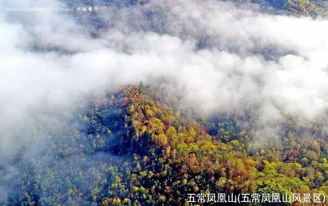 五常凤凰山(五常凤凰山风景区)