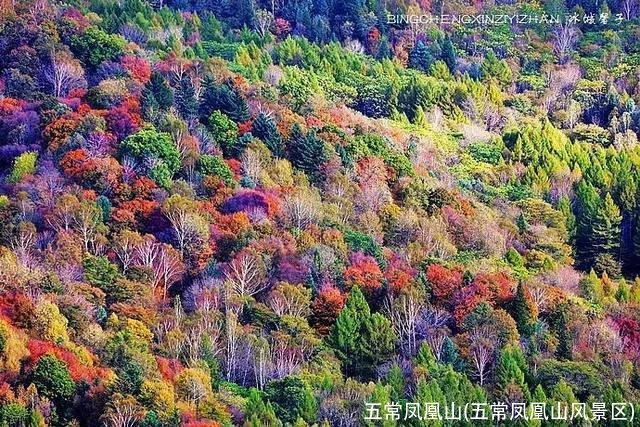 五常凤凰山(五常凤凰山风景区)