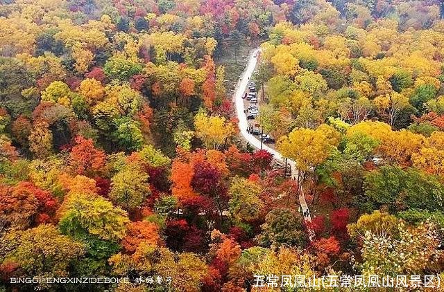 五常凤凰山(五常凤凰山风景区)