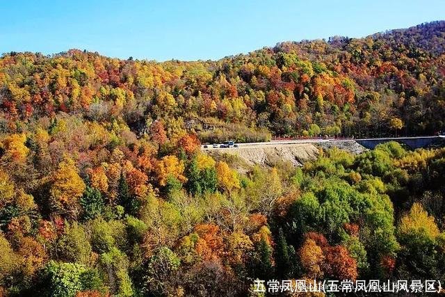 五常凤凰山(五常凤凰山风景区)