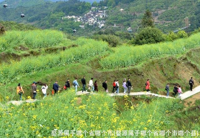 婺源属于哪个省哪个市(婺源属于哪个省哪个市哪个县)