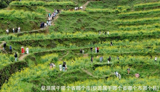 婺源属于哪个省哪个市(婺源属于哪个省哪个市哪个县)